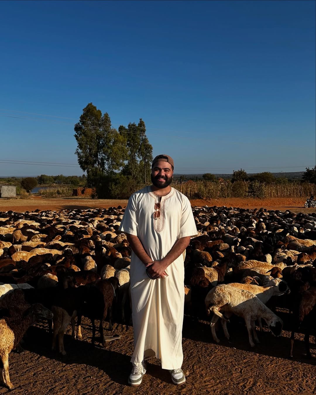 Abdel Rahman Mohey
